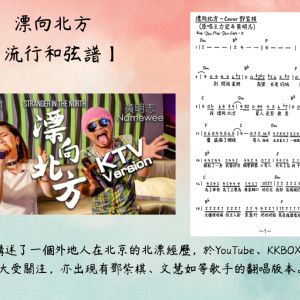 漂向北方 - 鄧紫棋Cover